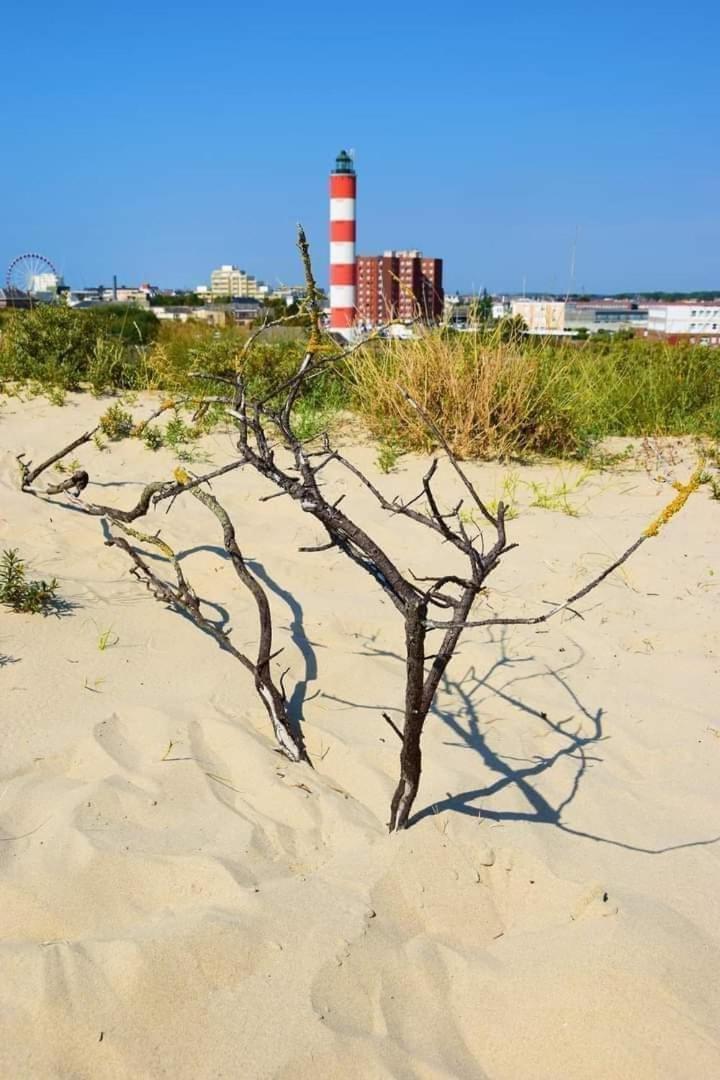 L'Alteia - L'Appartement Les Pieds Dans L'Eau Avec Place De Parking Prive Et Acces Direct A La Plage Berck Dış mekan fotoğraf